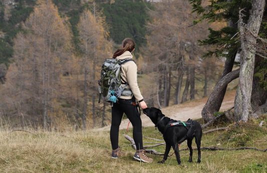 Pack Aventure Chien – Voyage et Accessoires Essentiels - chien avec son maître en randonnée dans une foret