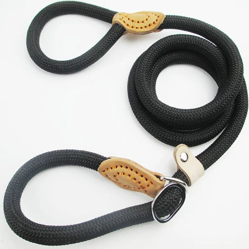 Kit Chien Complet – Accessoires pour Voyage & Randonnée - laisse pour chien noir
