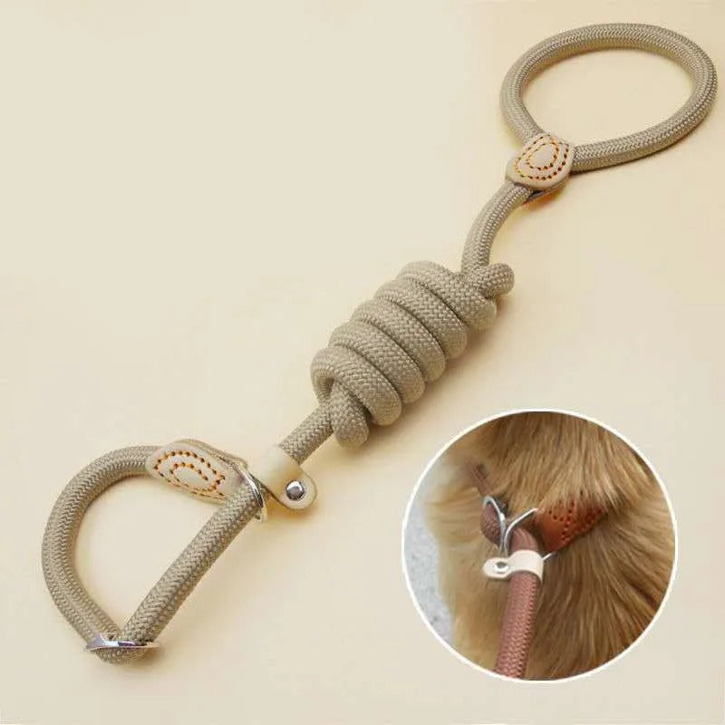 Pack Accessoires Chien – Balade, Voyage et Camping - laisse pour chien de couleur beige en gros plan et image de la laisse attacher au collier d'un chien
