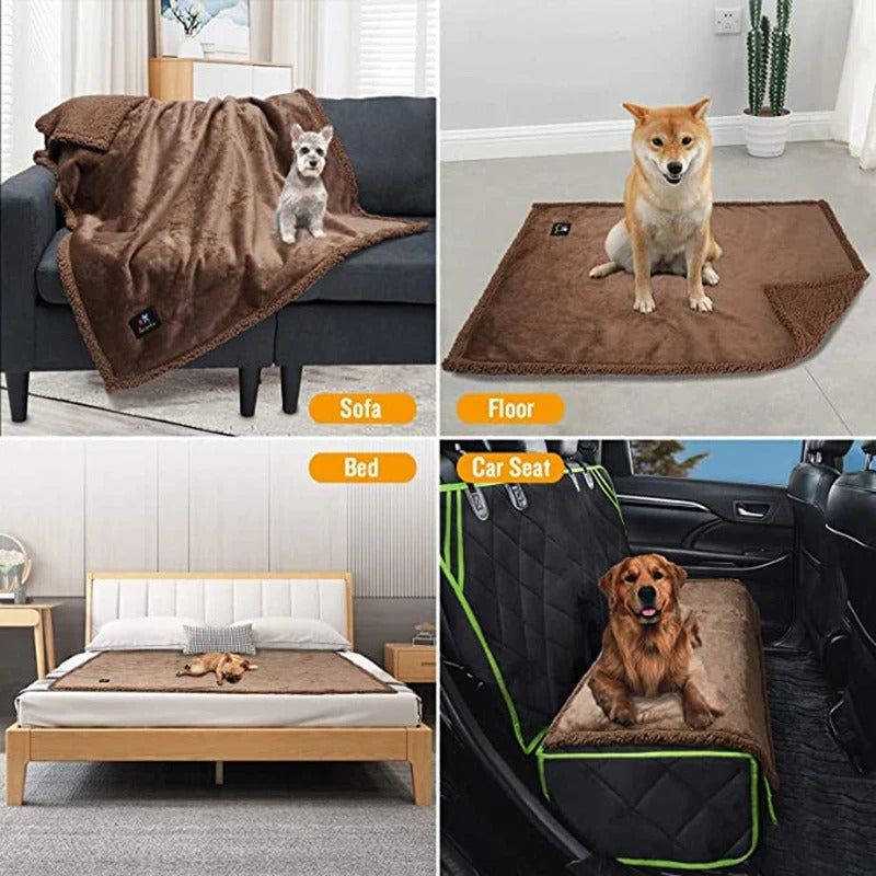 Pack Chien Complet – Voyage, Balade & Urgences Canines - couverture waterproof pour chien