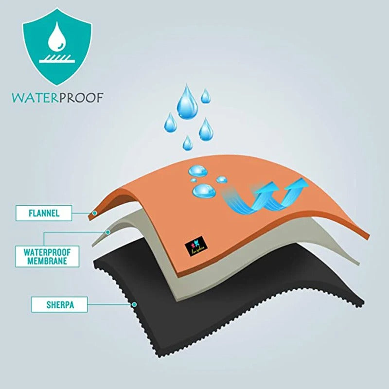 Pack Chien Complet – Voyage, Balade & Urgences Canines - couverture pour chien waterproof 3 couches