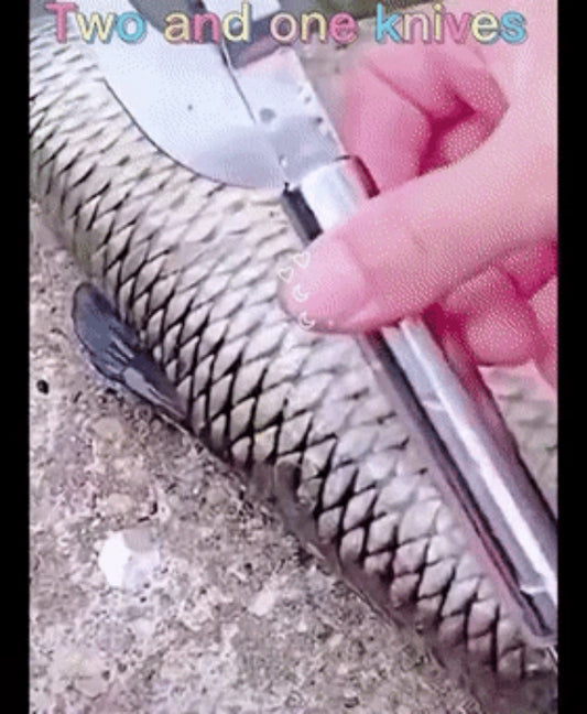 Couteau 3-en-1 Inox pour Poisson – Écailler, Vider et Couper Facilement en action sur un poisson