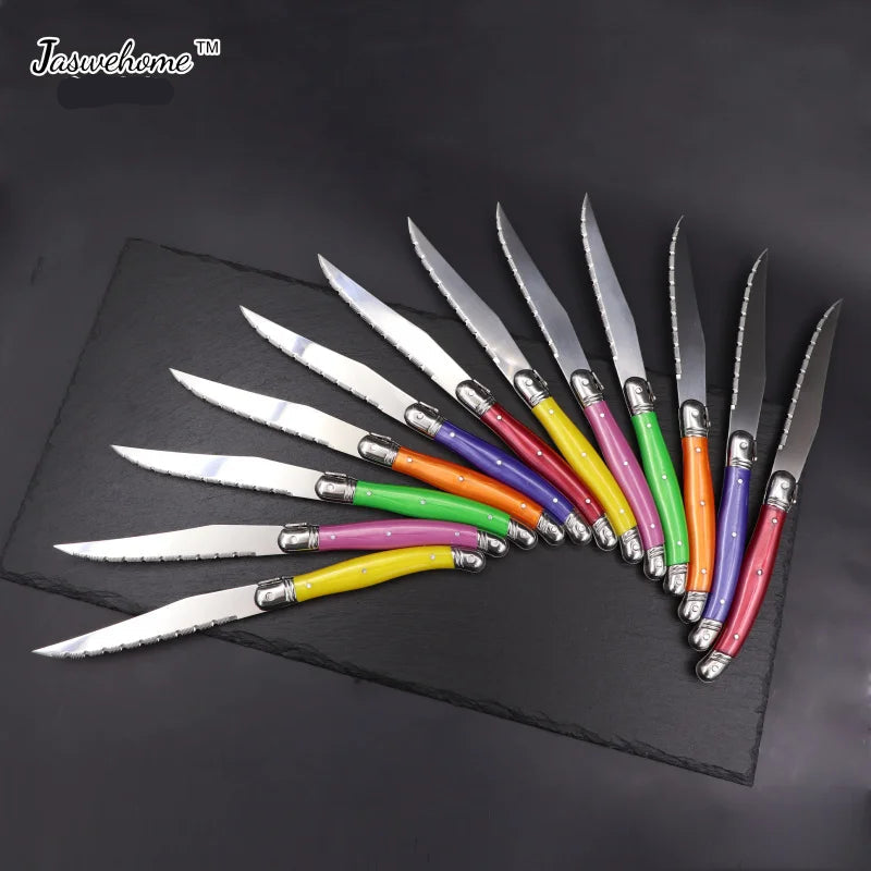 Ensemble de couteaux Jaswehome avec manches colorés et lames en acier inoxydable pour la cuisine