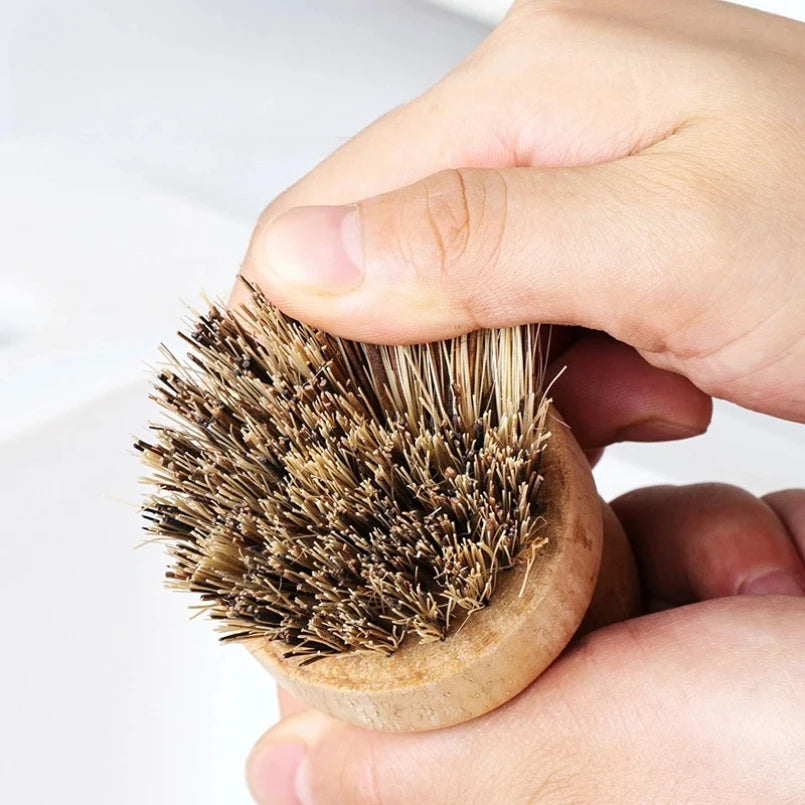 Ustensile de chef présente une Brosse vaisselle écologique en bambou et fibres naturelles. Brosse ronde en bois à poils durs
