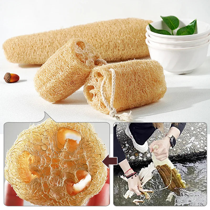 Éponge Loofah Naturelle – Écologique, Biodegradable, présentée en plusieurs vues montrant sa texture et son usage naturel