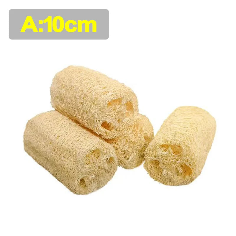 Éponge Loofah Naturelle – Écologique, Biodegradable de 10 cm pour un usage durable et respectueux de l'environnement