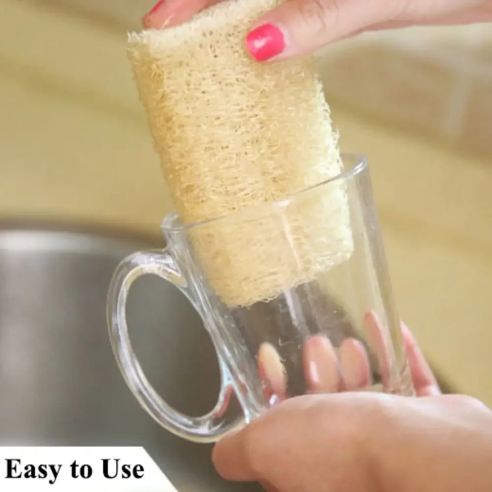 Éponge Loofah Naturelle – Écologique, Biodegradable utilisée pour nettoyer une tasse en verre