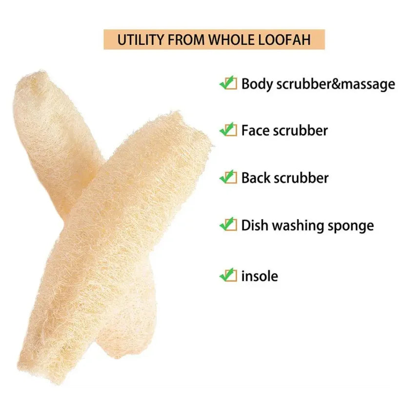 Éponge Loofah Naturelle – Écologique, Biodegradable pour gommage corps, visage, dos et vaisselle