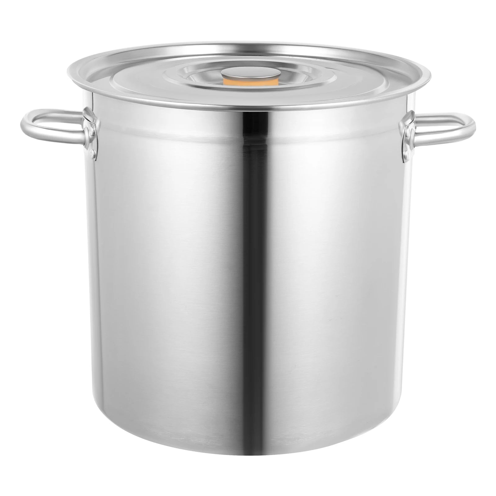 Grande Marmite 35 L Inox – Tous Feux et Durable avec poignées latérales et couvercle en acier inoxydable