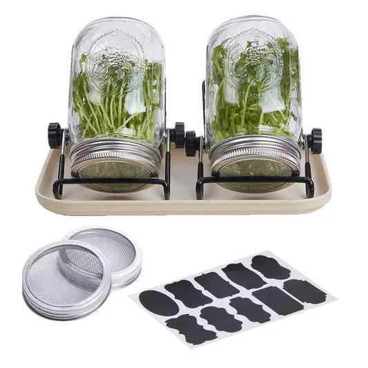 Kit Germination Maison – Support Inox avec deux bocaux en verre, graines germées et guide PDF