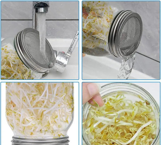 Kit Germination Maison – Support Inox avec germes dans un bocal en verre sous eau du robinet