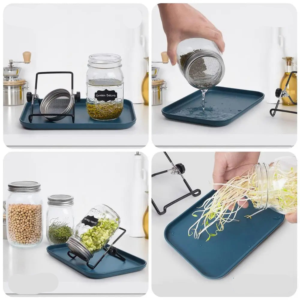 Kit Germination Maison – Support Inox avec pot en verre pour faire germer des graines facilement à la maison