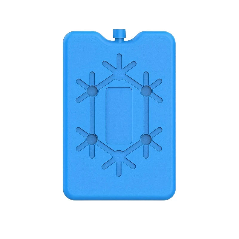 Pack de Glace Portable Réutilisable bleu avec motif flocon pour conserver les aliments au frais