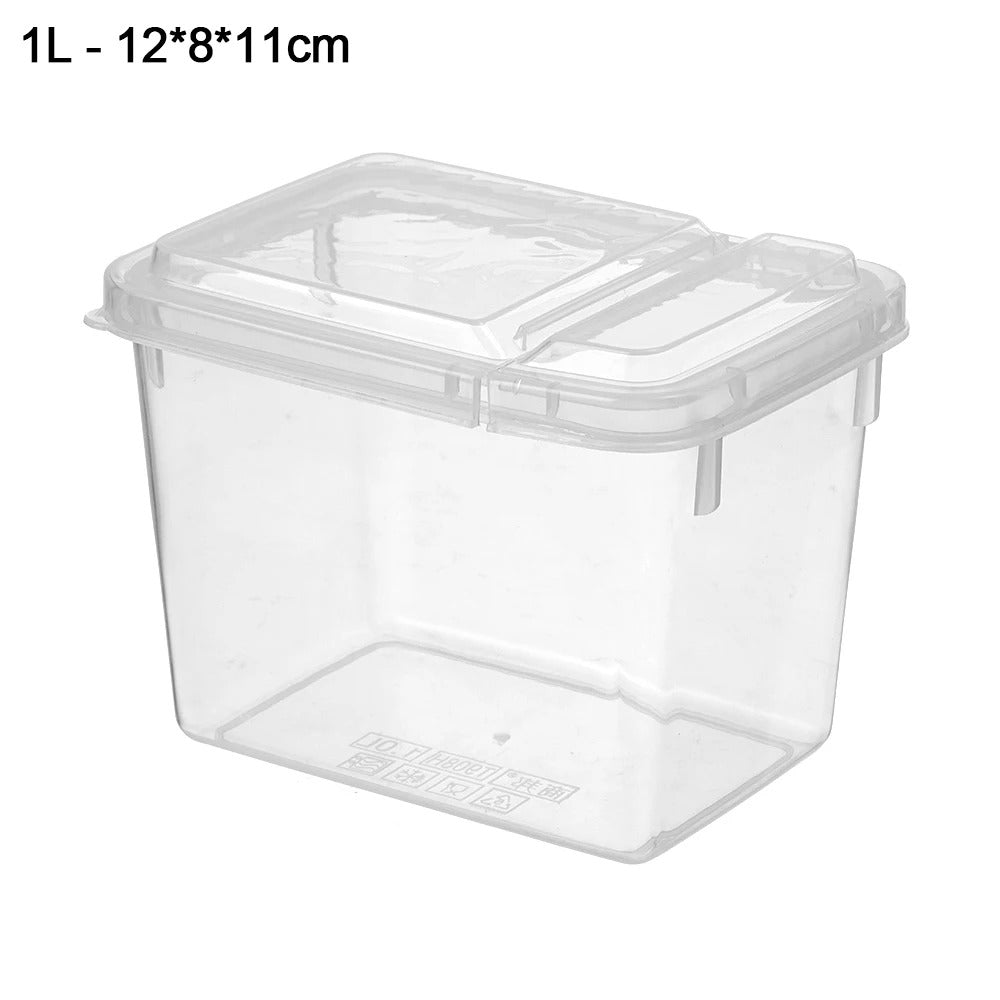 Boîte à Lunch Hermétique en Plastique – 300 ml à 2,35 L avec couvercle transparent pour conserver les aliments