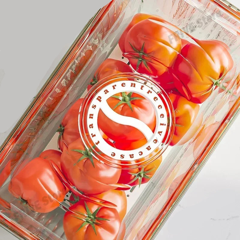 Boîte hermétique pour frigo avec égouttoir contenant des tomates fraîches bien rangées