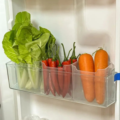 Boîtes de Rangement pour Réfrigérateur – Lot de 6 avec légumes frais comme laitue, piments et carottes