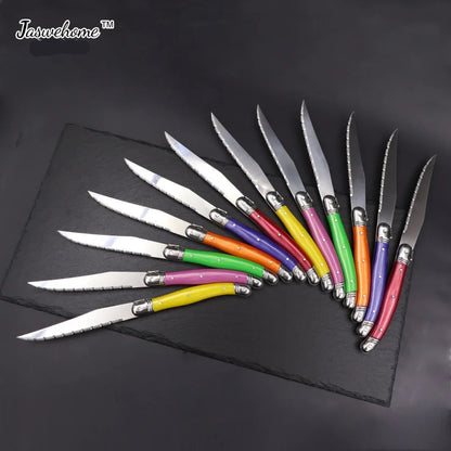 Ensemble de couteaux Jaswehome avec manches colorés et lames en acier inoxydable pour la cuisine
