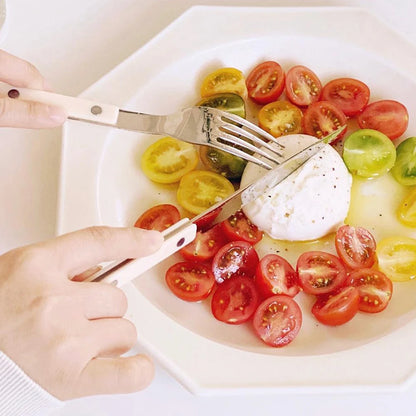 Couverts Inox 18/10 Premium Kit Complet 4 Pièces utilisés pour déguster une assiette de tomates colorées