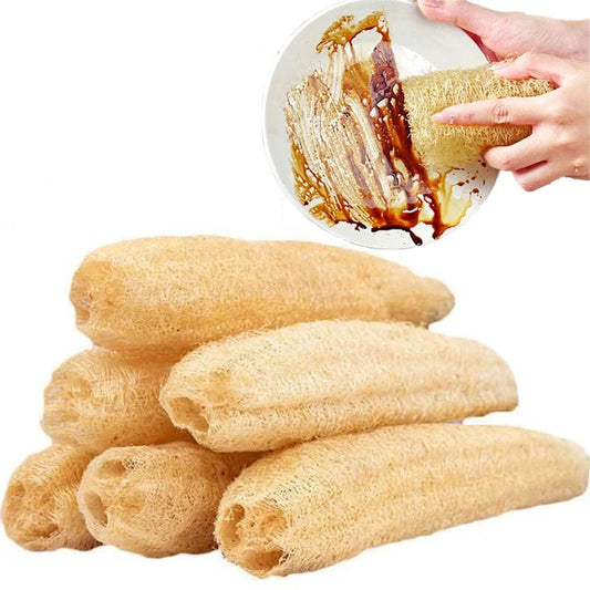 Éponge Loofah Naturelle – Écologique, Biodegradable utilisée pour nettoyer une assiette avec des résidus alimentaires