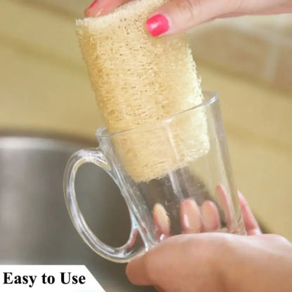 Éponge Loofah Naturelle – Écologique, Biodegradable utilisée pour nettoyer une tasse en verre