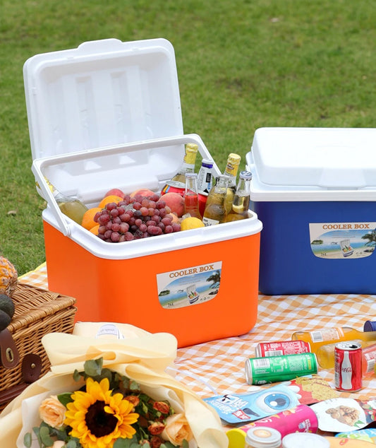Glacière Portable Rigide Isolation Longue Durée avec boissons et fruits pour un pique-nique parfait