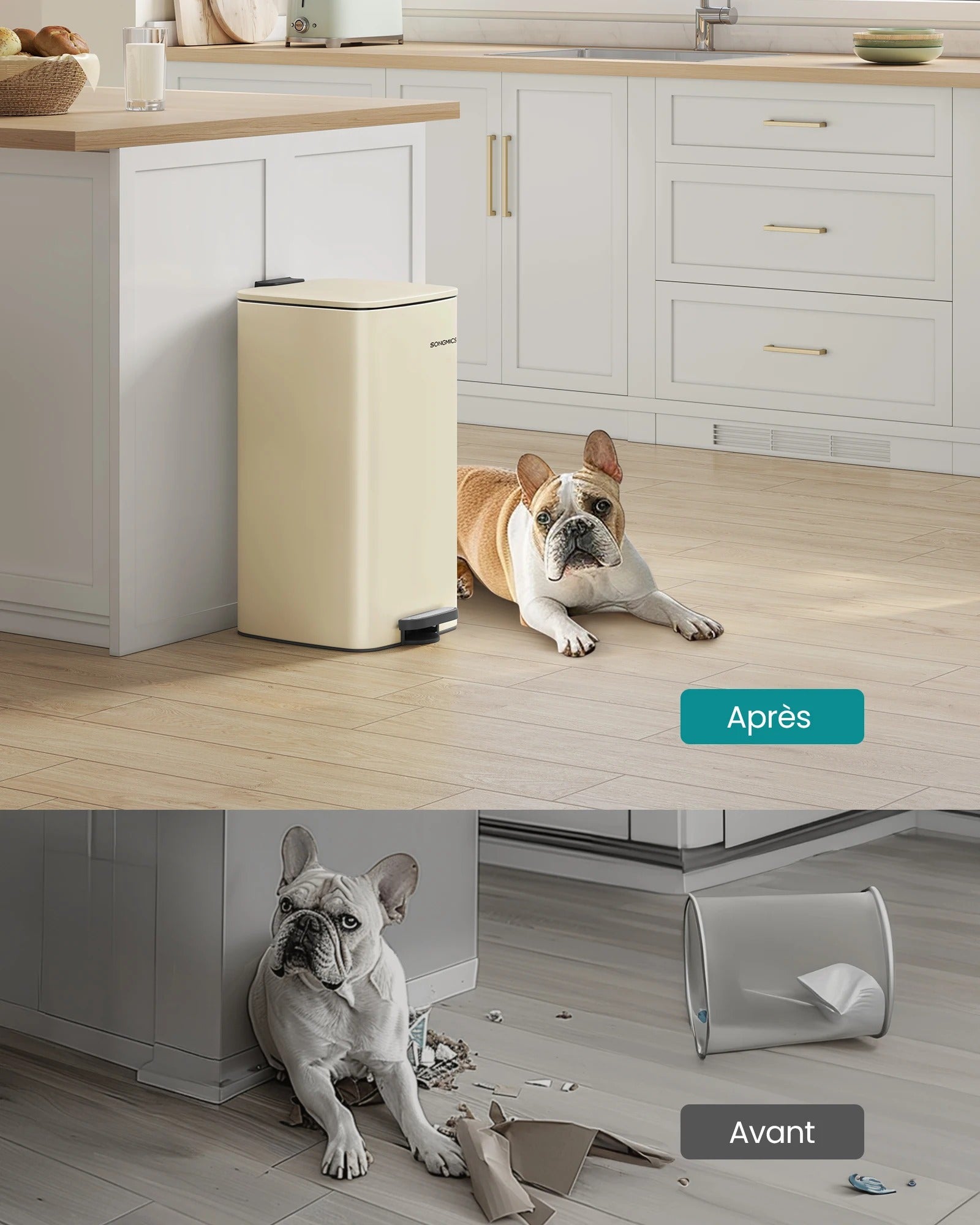 Poubelle de Cuisine 30 L à Pédale en Acier dans une cuisine moderne avec un bulldog français